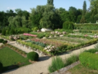 The Princes Garden